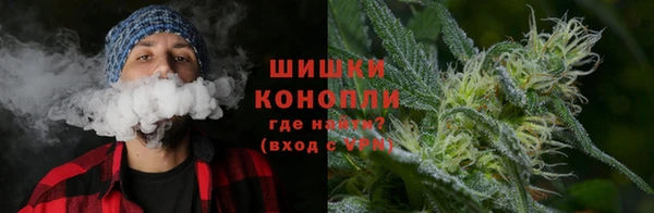 прущая мука Богданович