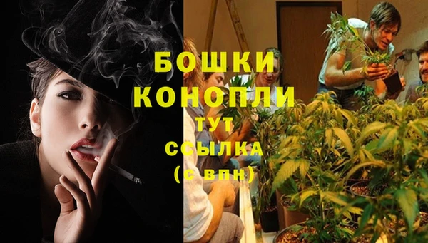 прущая мука Богданович