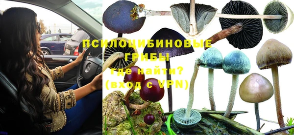 mix Богородск