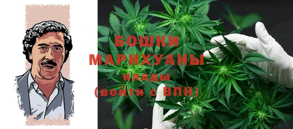 прущая мука Богданович