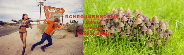 гидропоника Богородицк