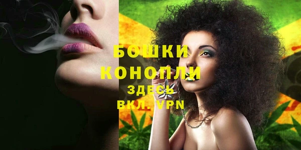 mix Богородск