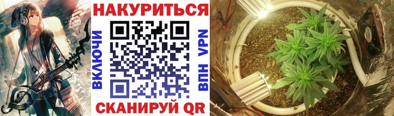 Канабис VHQ  это телеграм  Ува  кракен маркетплейс 